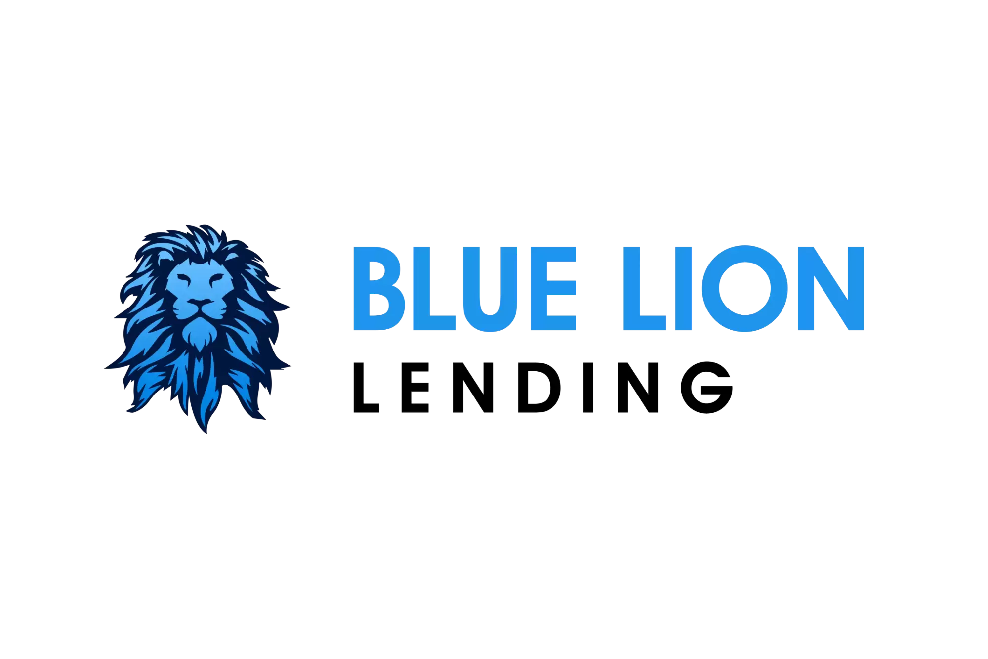 Blue Lion Lending
