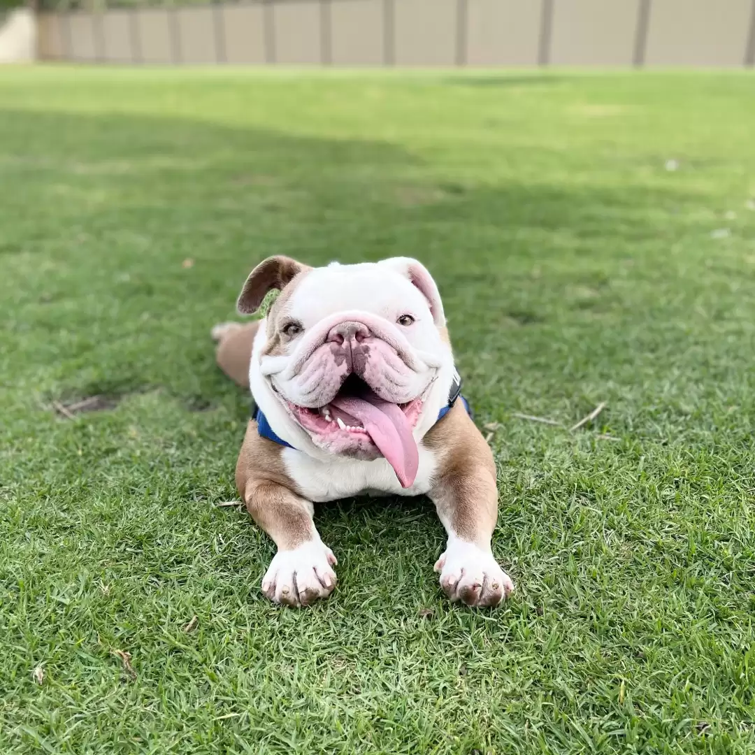 Diego My Finance Friends