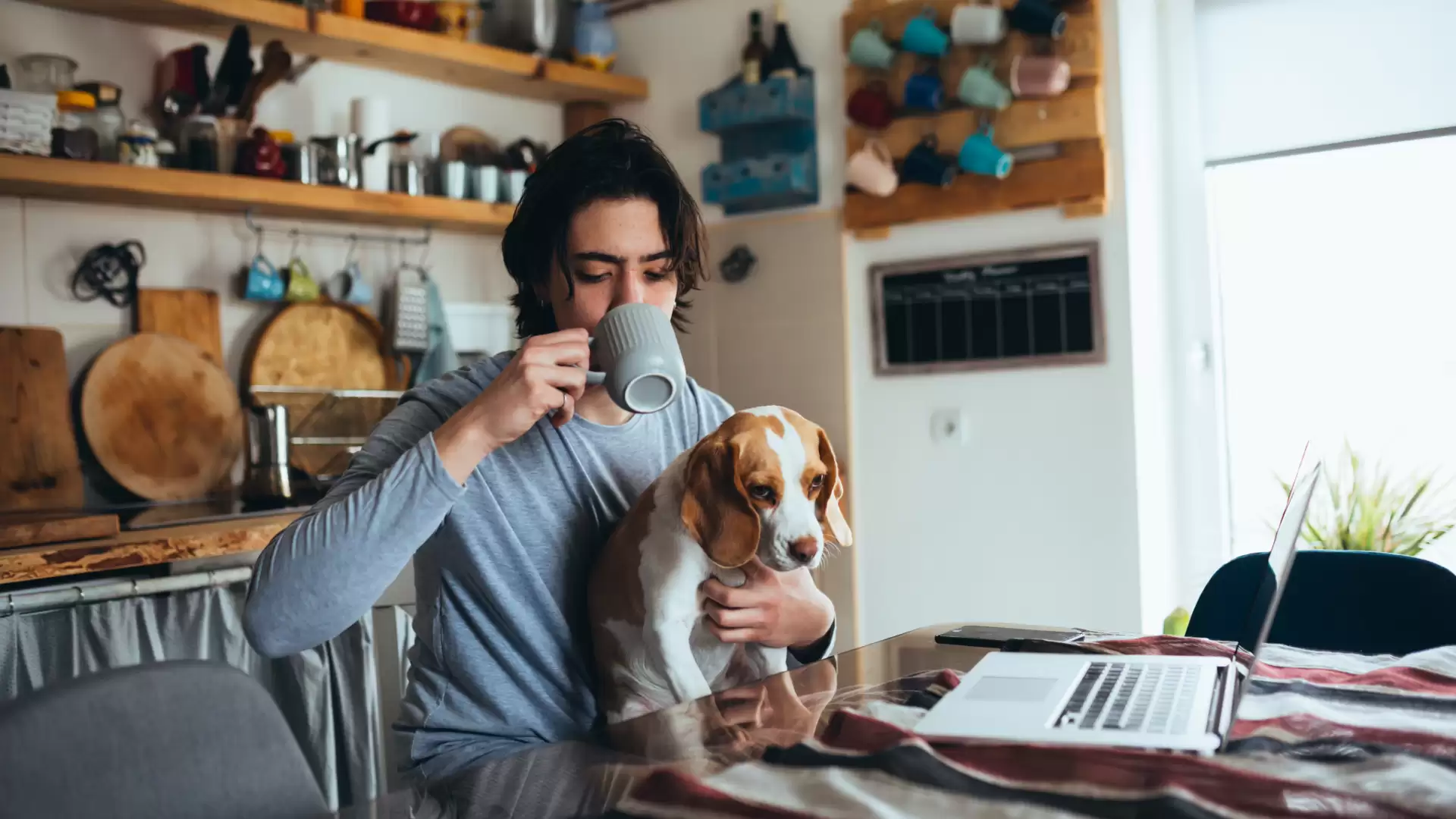 Hero Image for Home Loan Features and What They Mean for Borrowers