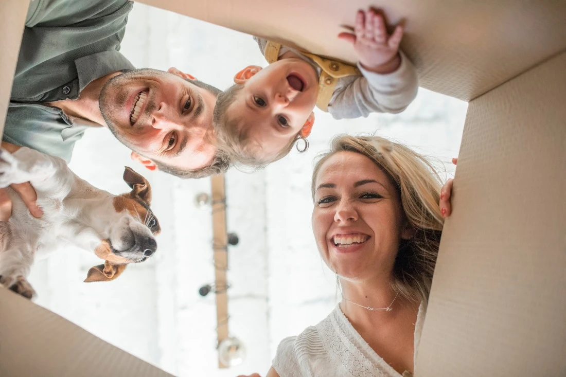 
                            Countdown to be in your new home by Christmas                        