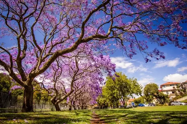 Image for Ready Or Not, The Spring Market Has Arrived – Melbourne Property Market Update August 2025