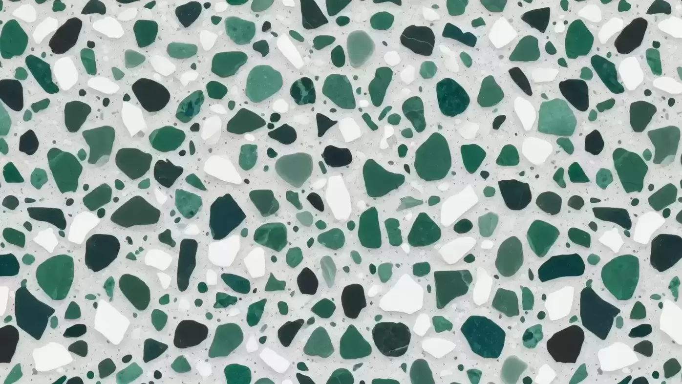 Terms & Conditions Alpha Financial