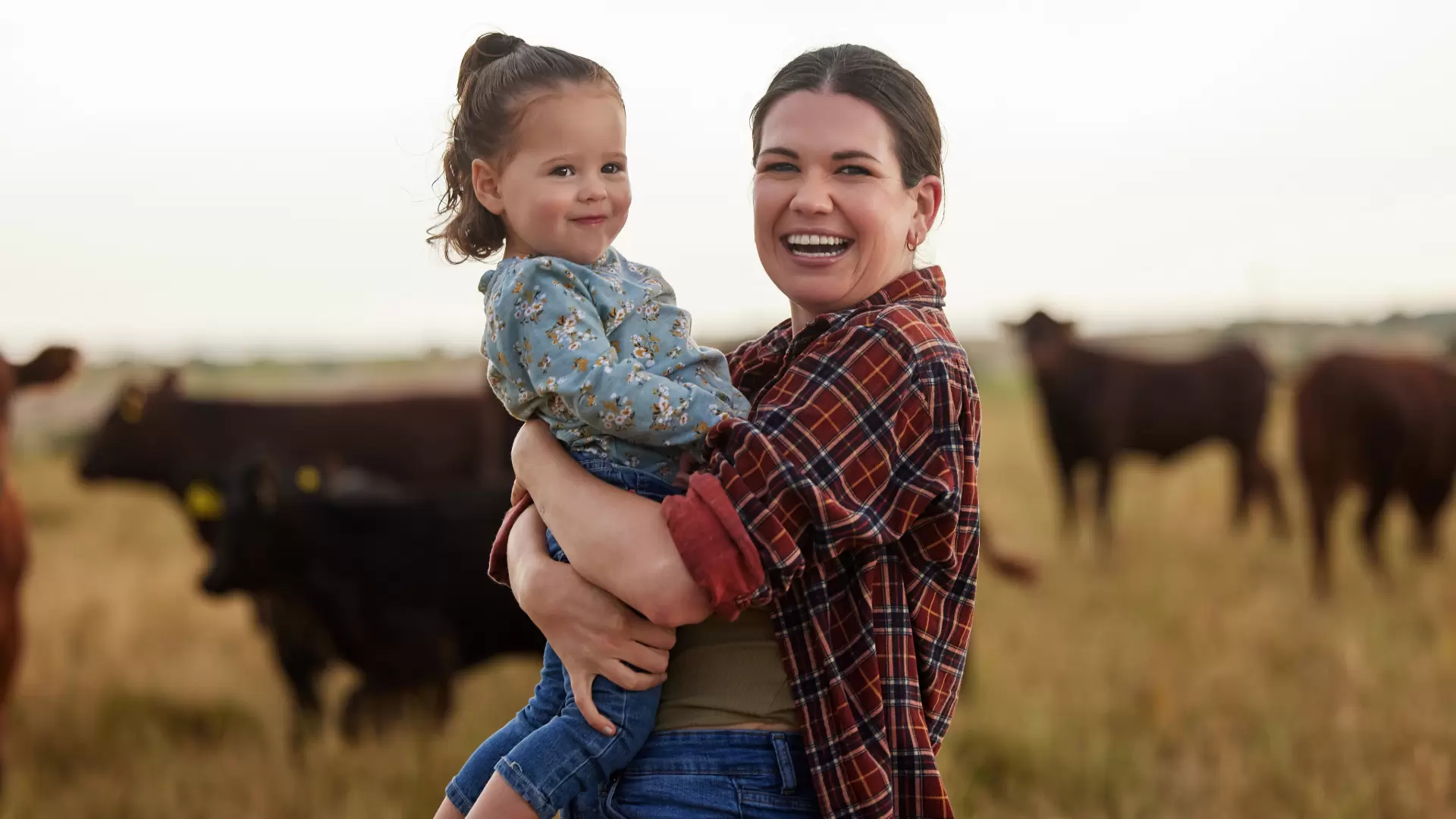 Why Choose BE Approved for Livestock Finance