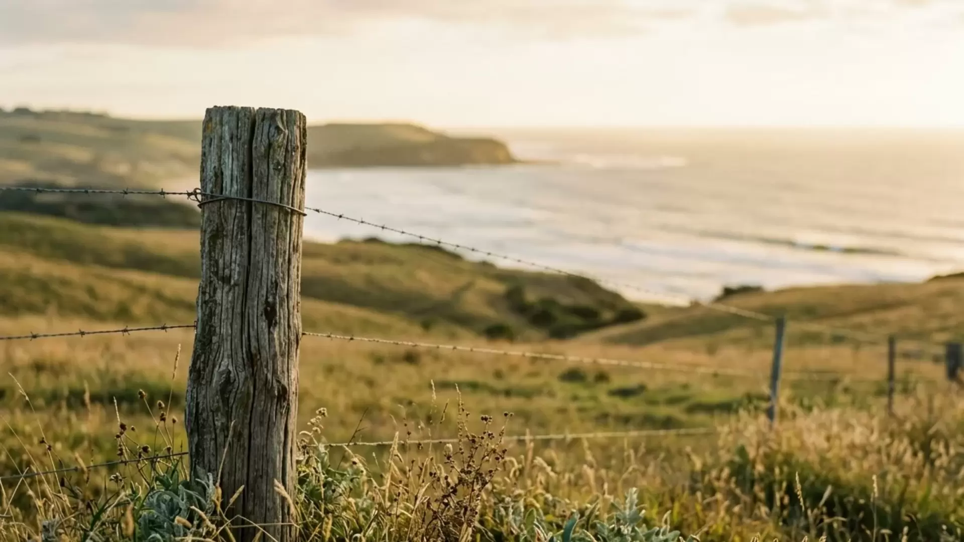 Simple Livestock Purchase Loan Process