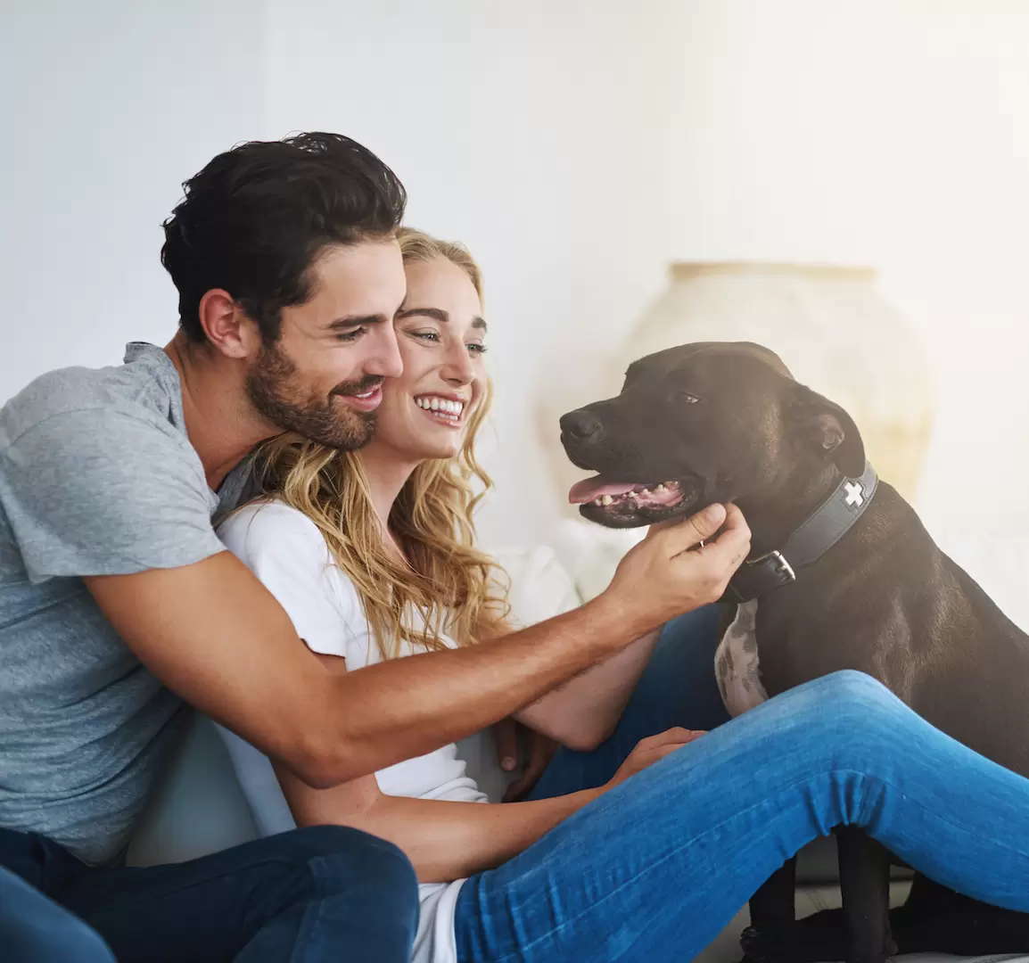Home Loans