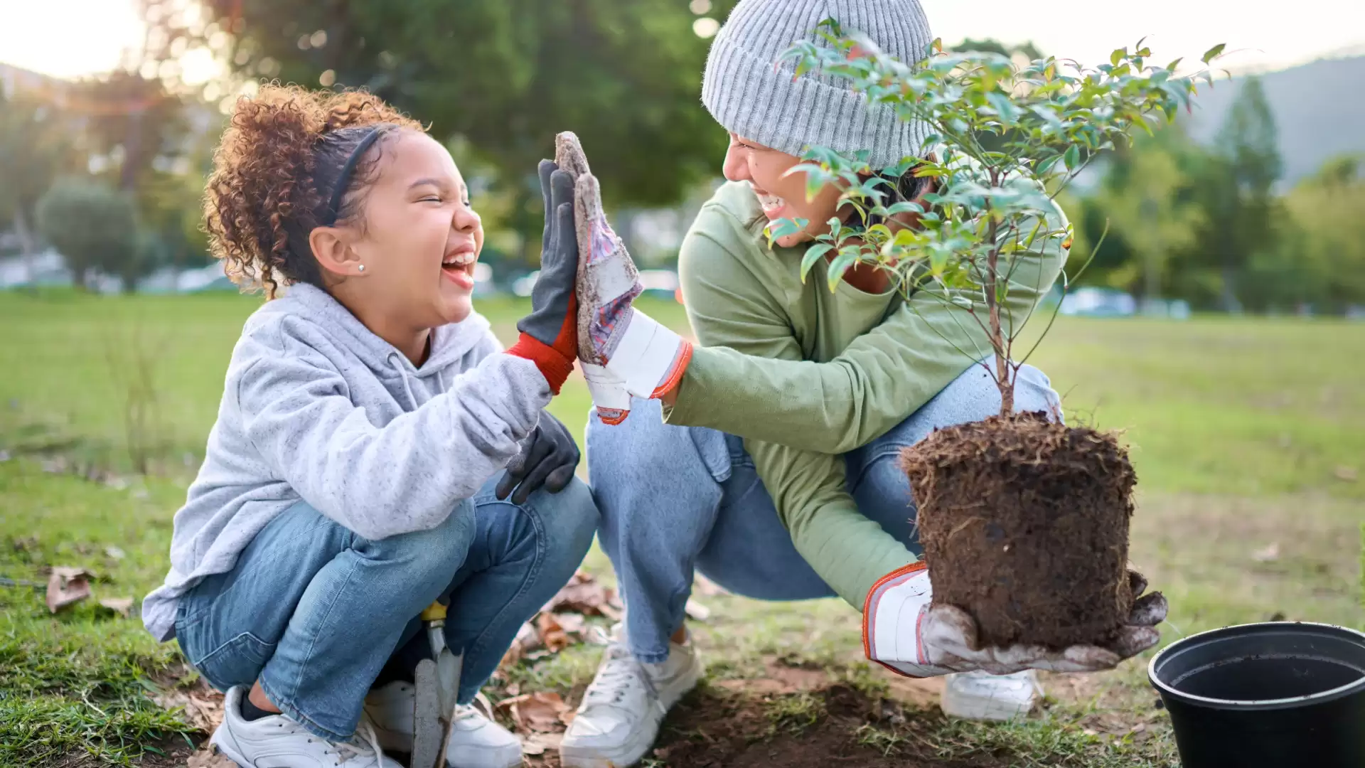 Image for Do you know about QLD first home buyer grants and schemes?