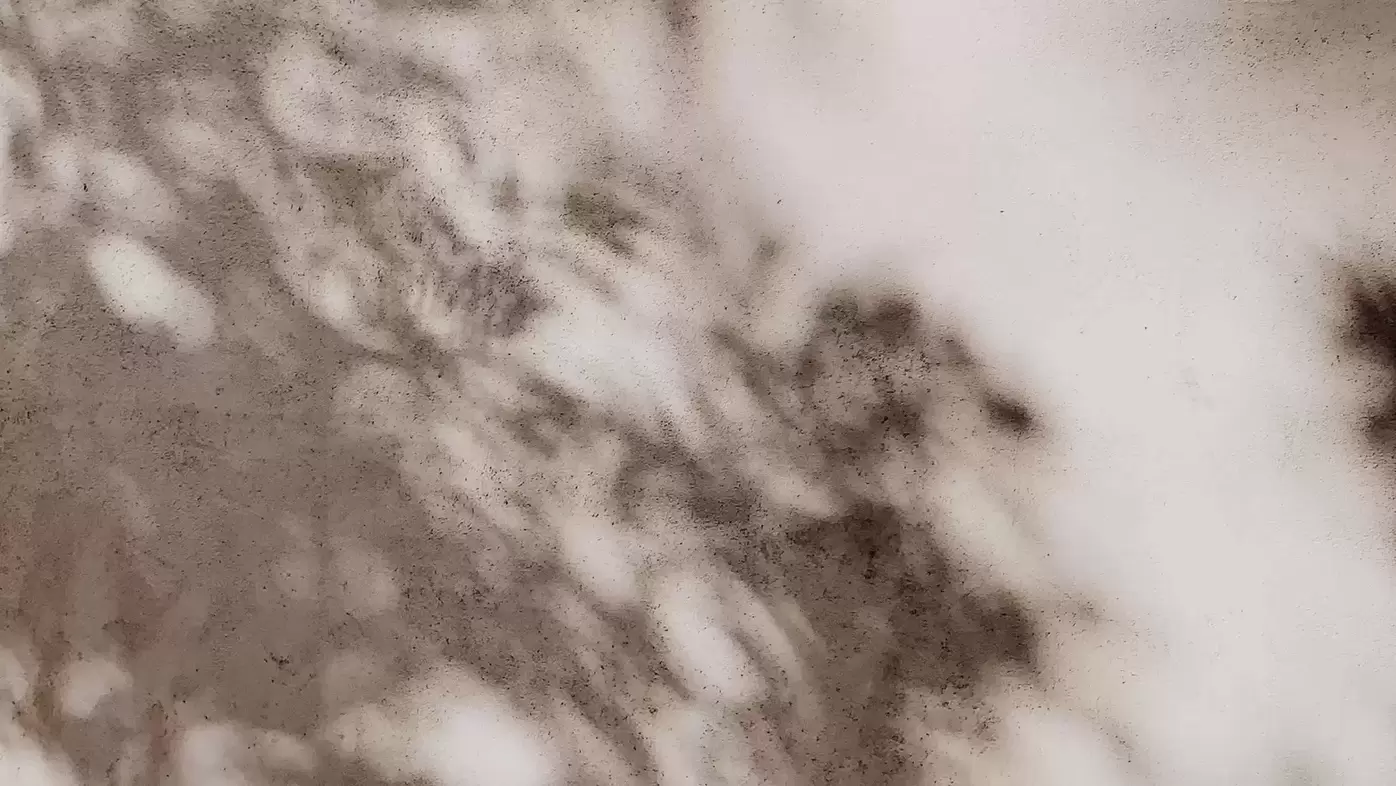 Privacy Policy B Squared Lending