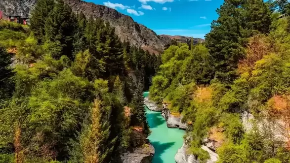 Finance Broker New Zealand