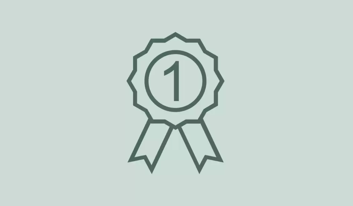 Icon 3