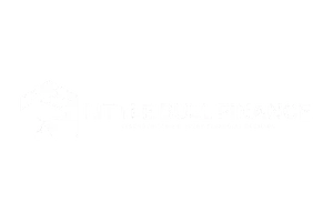 Little Bull Finance Logo