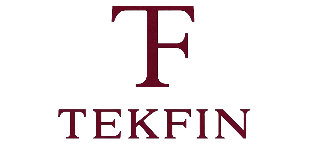 TekFin's Logo