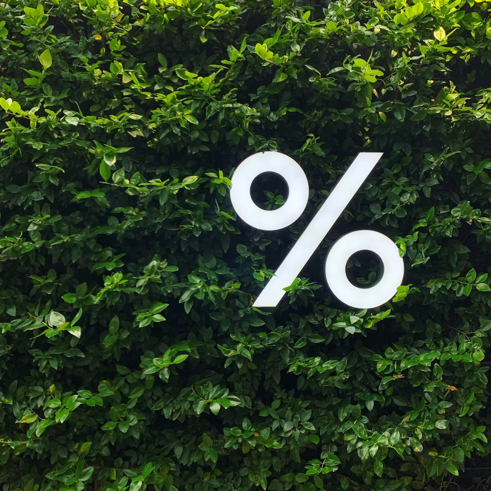 What Are Fixed Rates and Offset Accounts for First Buyers?