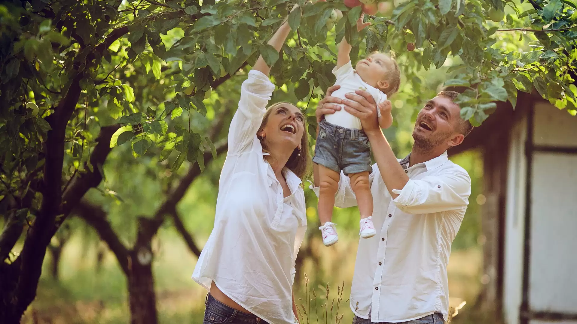 The Dos and Don'ts of CTA Accessibility for Brokers