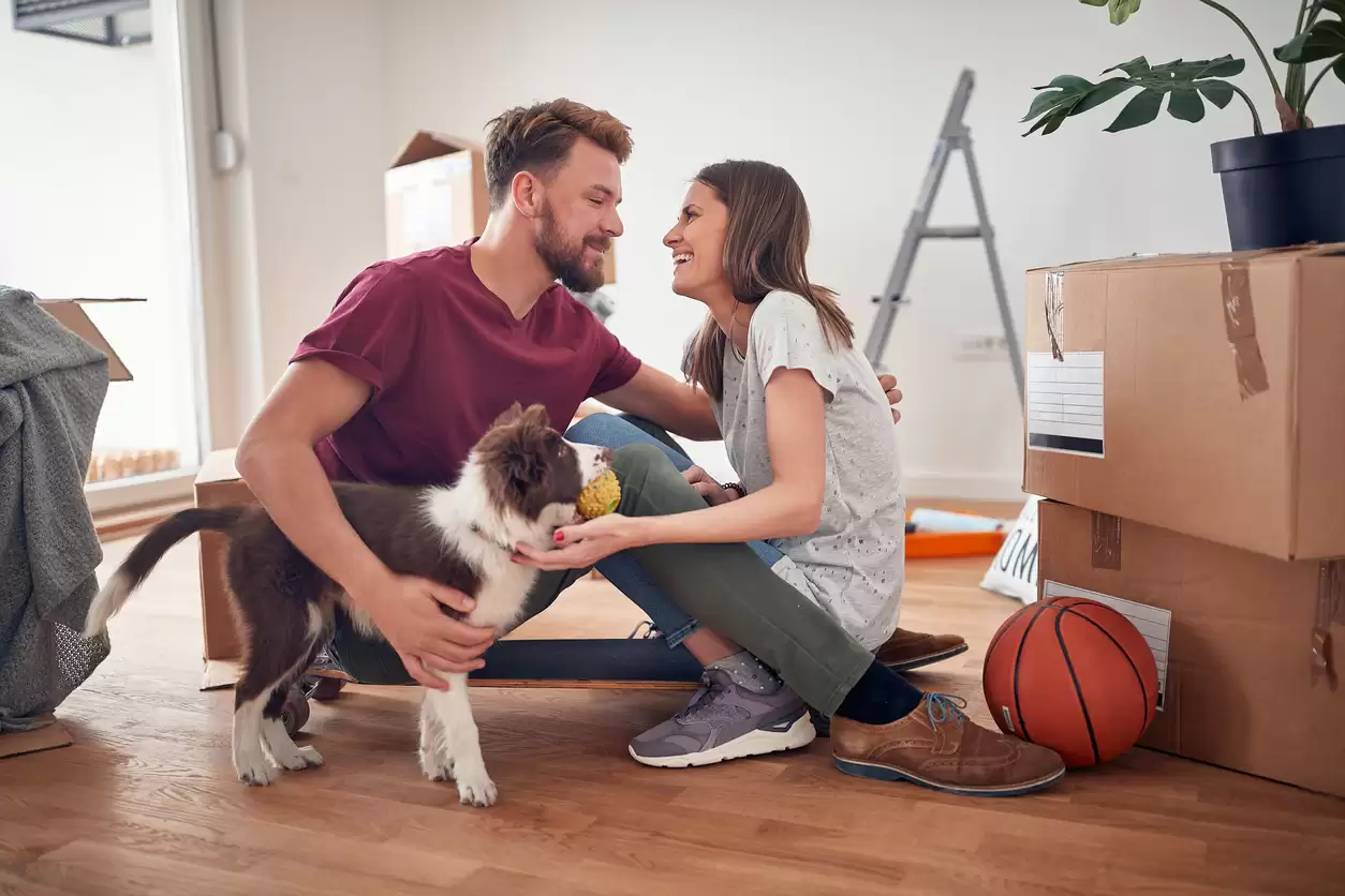 What is Lenders Mortgage Insurance (LMI)