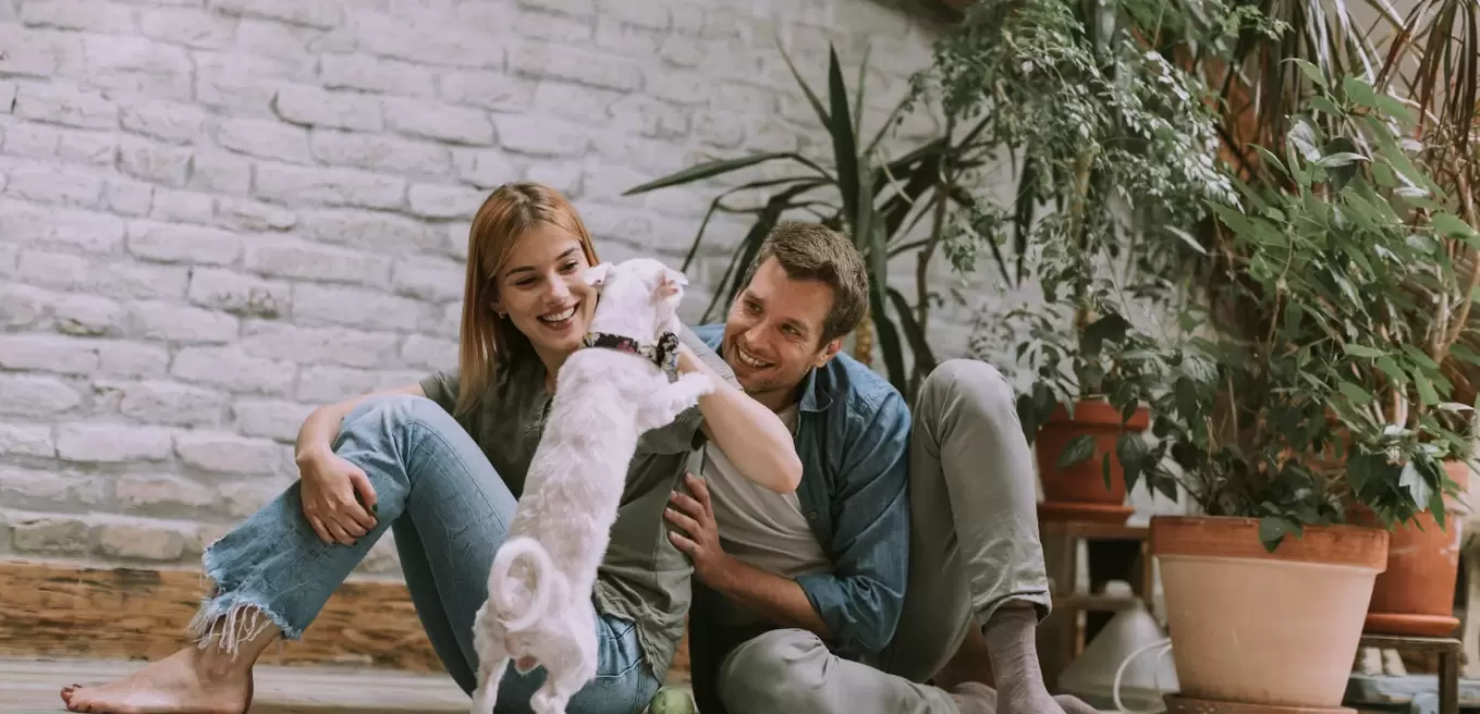 About Charm Finance