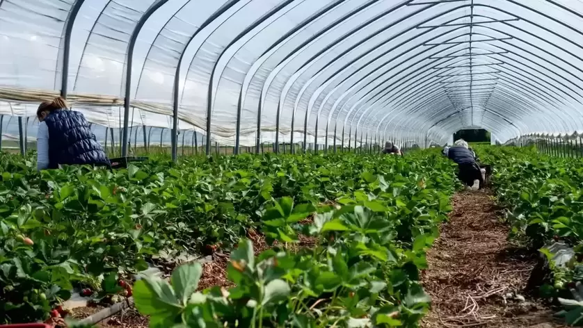 Agricultural Finance Find My Loan