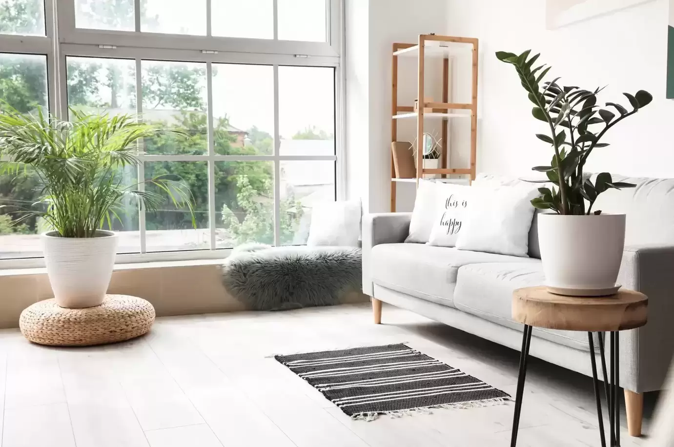 Header Photo for Personalised Finance