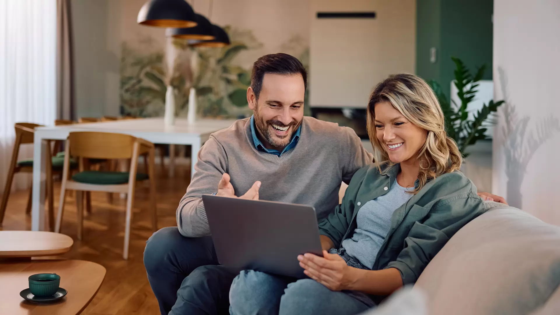 Borrowing Capacity Plavin Finance