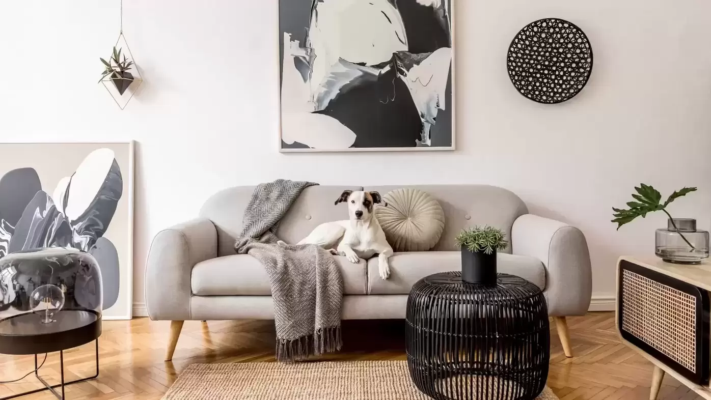 Home Loans Zero Mondays