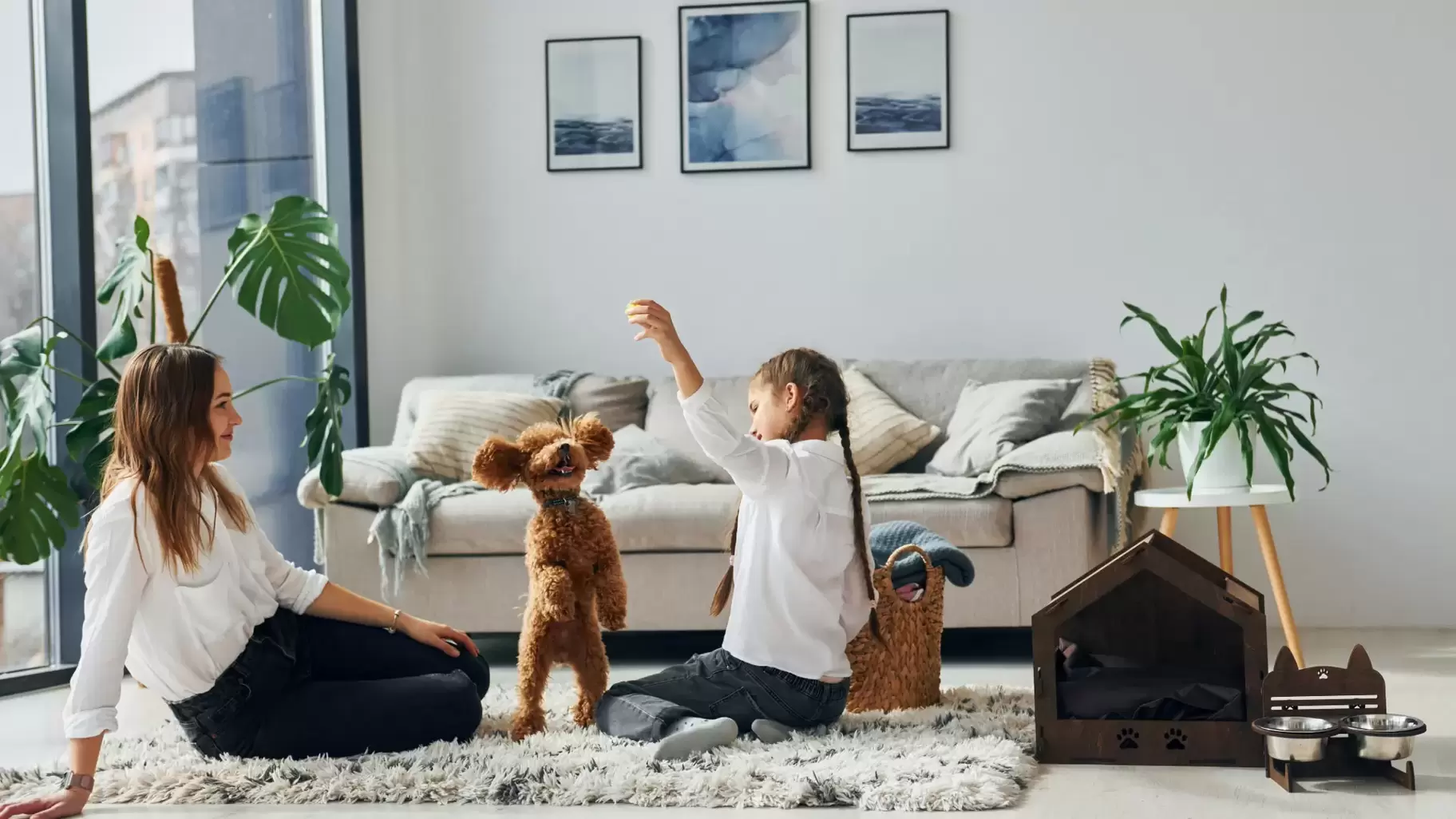 Investment Loans Dubbo Mortgage Brokers